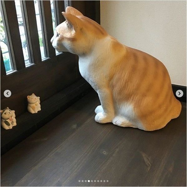 カフェ猫衛門
