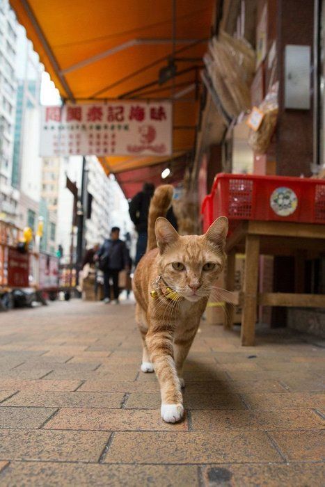 ©Masayuki Oki