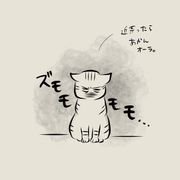 保護猫に関する記事一覧 ねこのきもちweb Magazine 保護猫に関する記事一覧 ねこのきもちweb Magazine