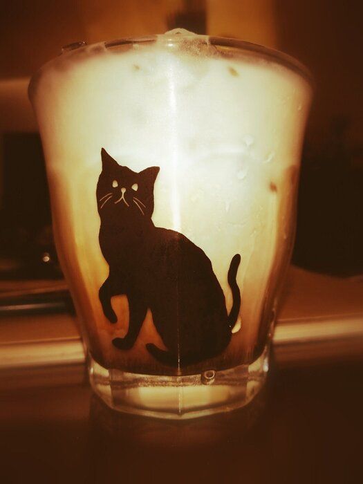 黒猫のコップ