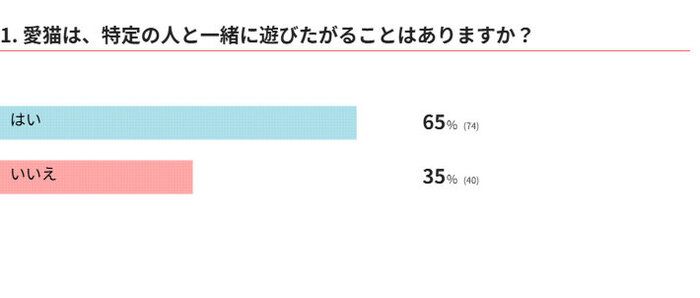愛猫は特定の人と遊びたがりますか？