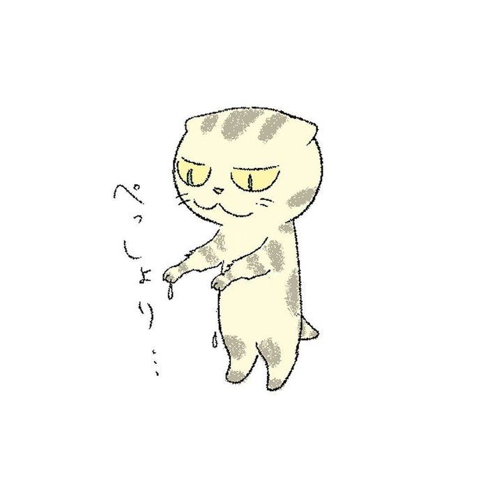 @tacos_cat