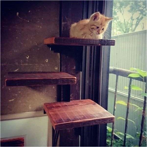 もんとあお