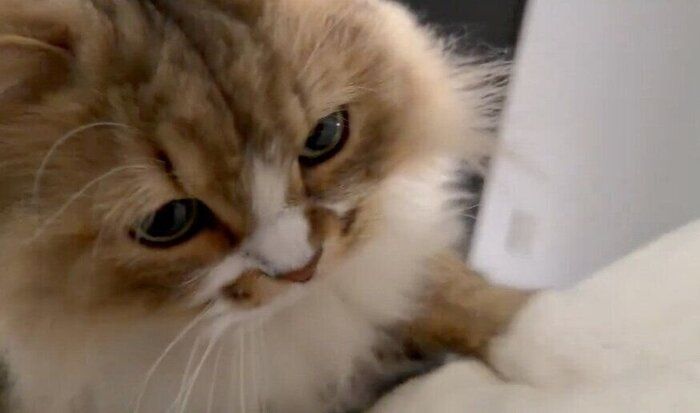 布団を掘るみぬ次郎くん