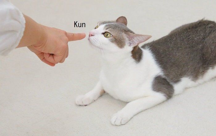撮影/尾﨑たまき