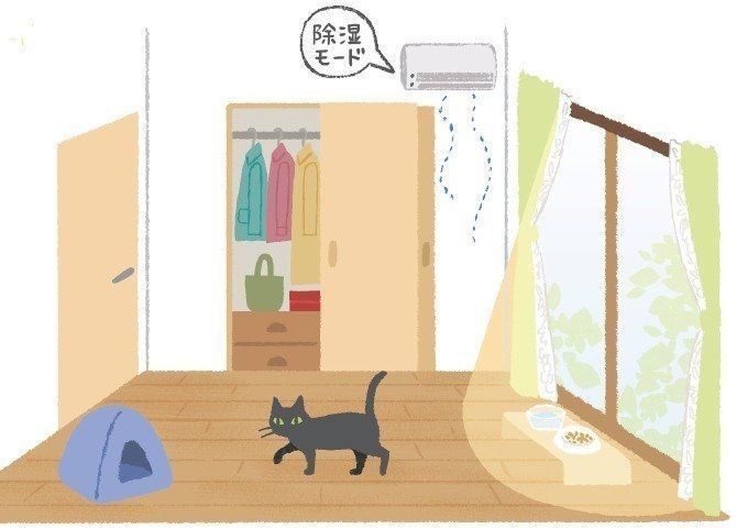 イラスト/片山智恵