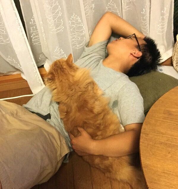 息子さんのおなかの上で眠るピョンタくん