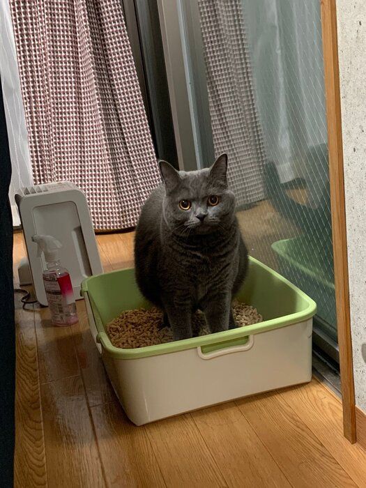 読者提供