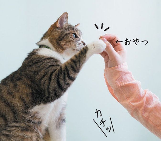 ハイタッチ2