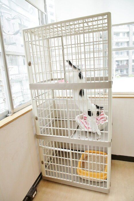 撮影/尾﨑たまき