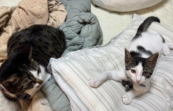 おかかちゃんと2ショット