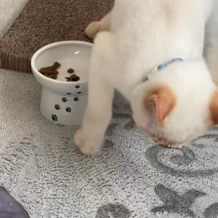 周辺を丁寧にカキカキ