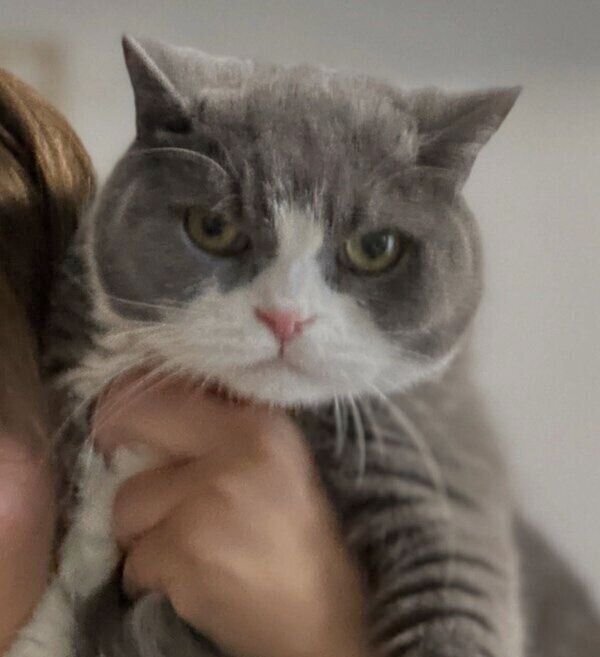 どこか不満げなまるくん