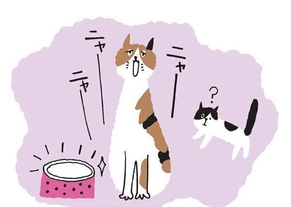 認知症の猫
