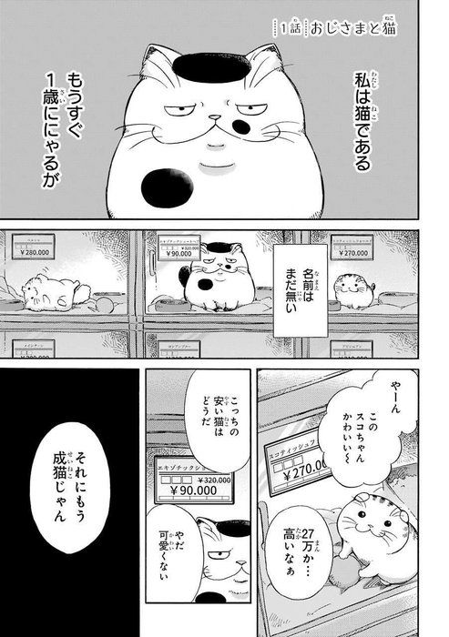 (C)Umi Sakurai/SQUARE ENIX