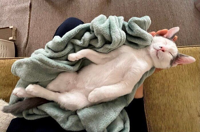 生後3カ月頃のトルテくん