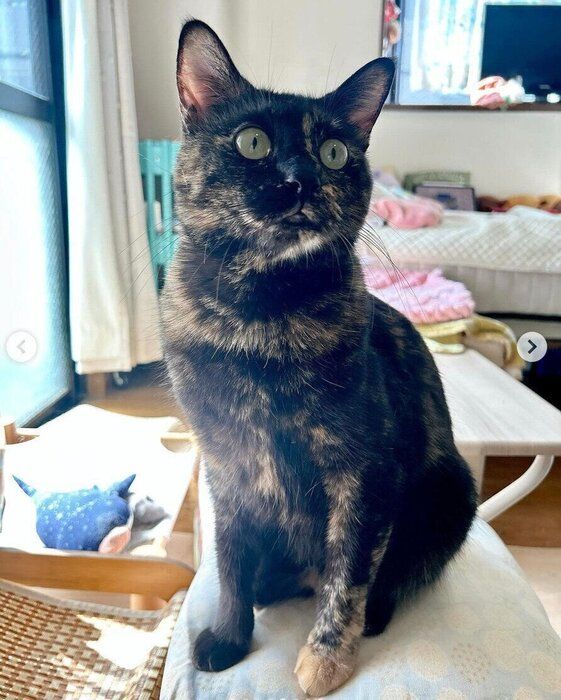 ツヴェちゃんの個人ショット