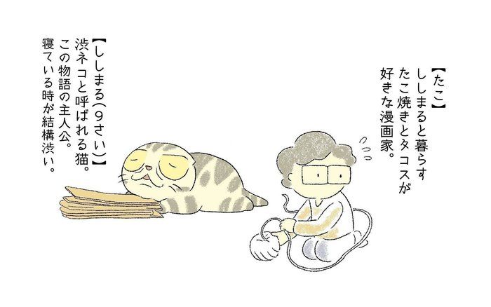 @tacos_cat