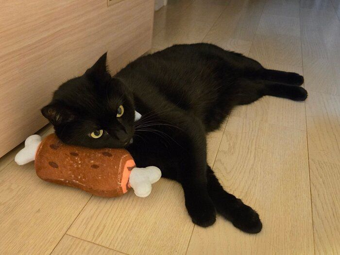 まったりするのあるちゃん