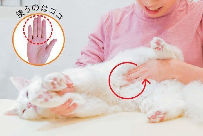 お腹を4本指でマッサージする画像