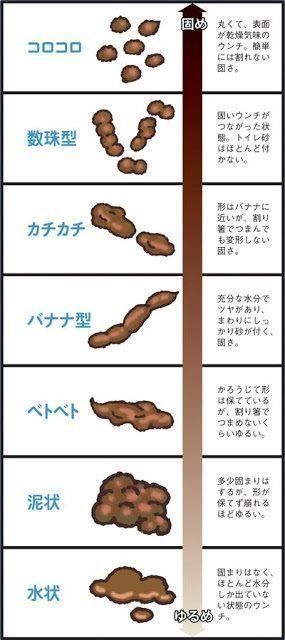 イラスト/桑原正俊