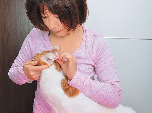 耳そうじ