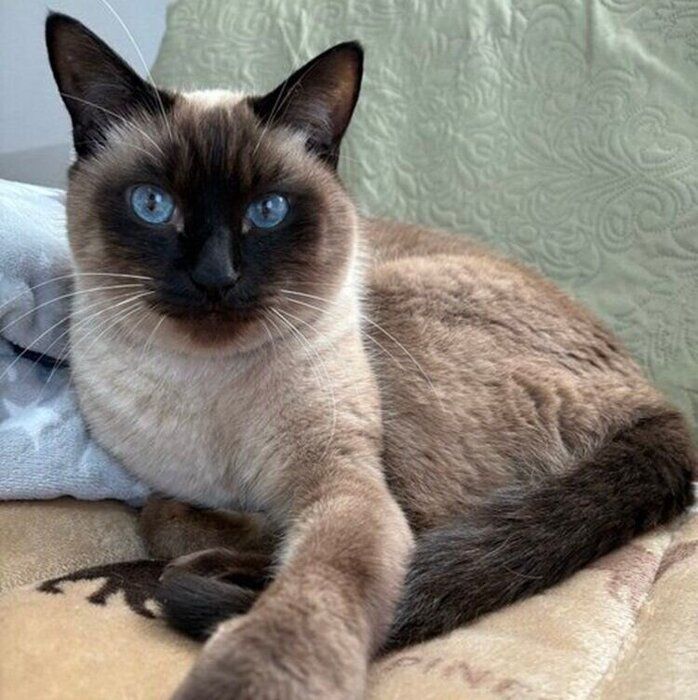 現在のプリュイくん