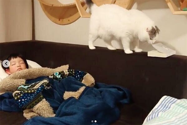 本を見つめるライくん