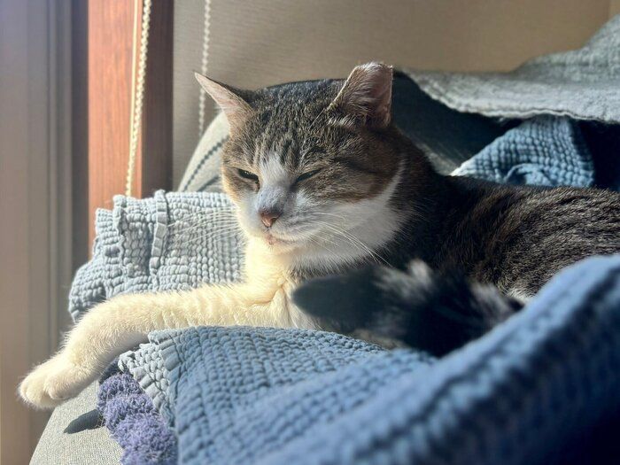 ひなたで目を細めるぽぬちゃん