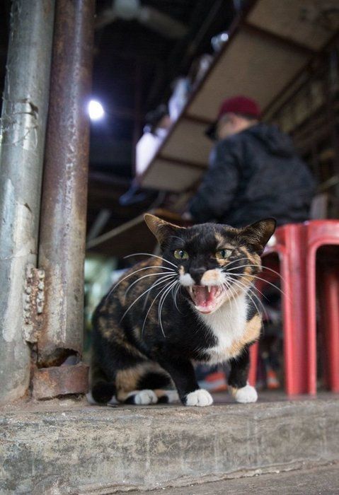 ©Masayuki Oki