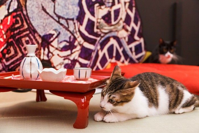 ©江戸ねこ茶屋製作委員会