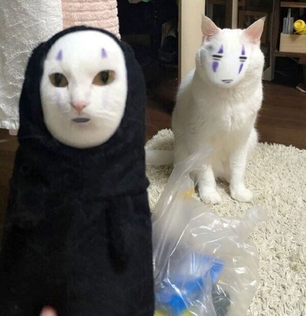 スマホのアプリでカオナシと顔交換したハク様