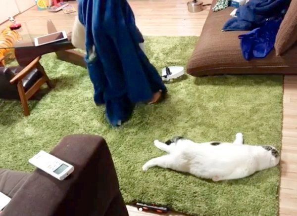 カーペットの上でぐでるライくんと、動き回る次男くん