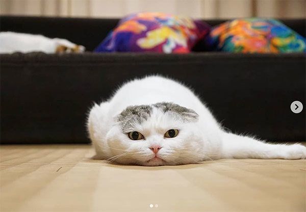 見つめるライくん