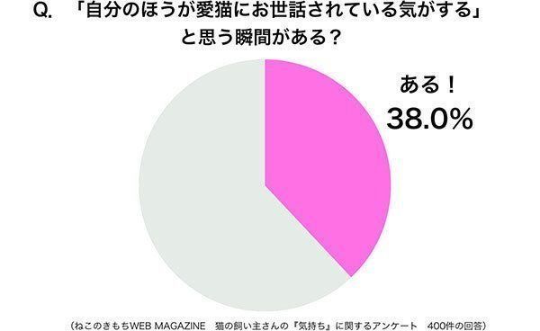 グラフ:「自分のほうが愛猫にお世話されている気がする」と思う瞬間がある?