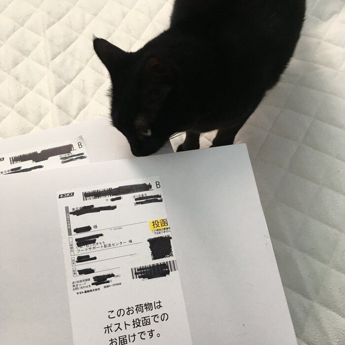 エコバック投函