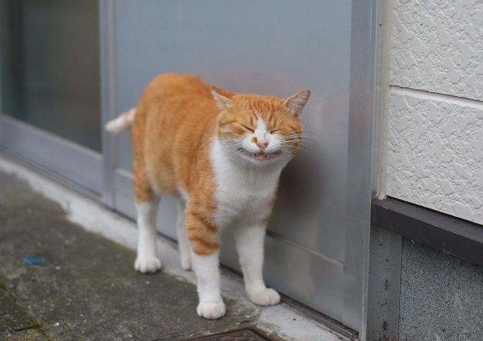 ©Masayuki Oki