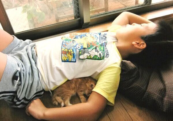 息子さんと一緒に眠るピョンタくん