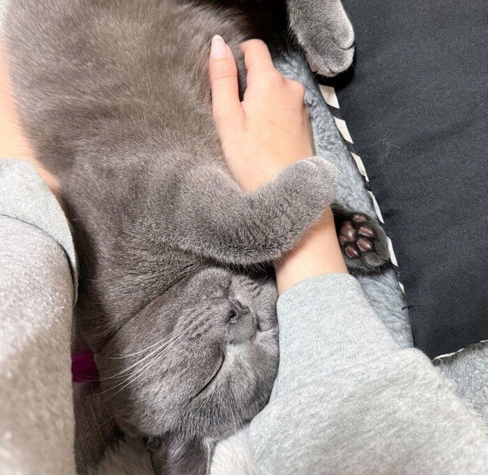 スヤスヤ眠るおこげくん