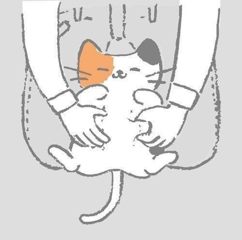 乳がん ねこ