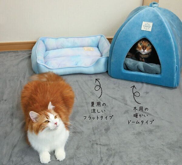 夏用ベッドと冬用ベッドを用意