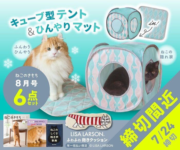 ねこのきもち 62冊 ねこのきもちWEB MAGAZINE｜それでもやっぱり猫が好き