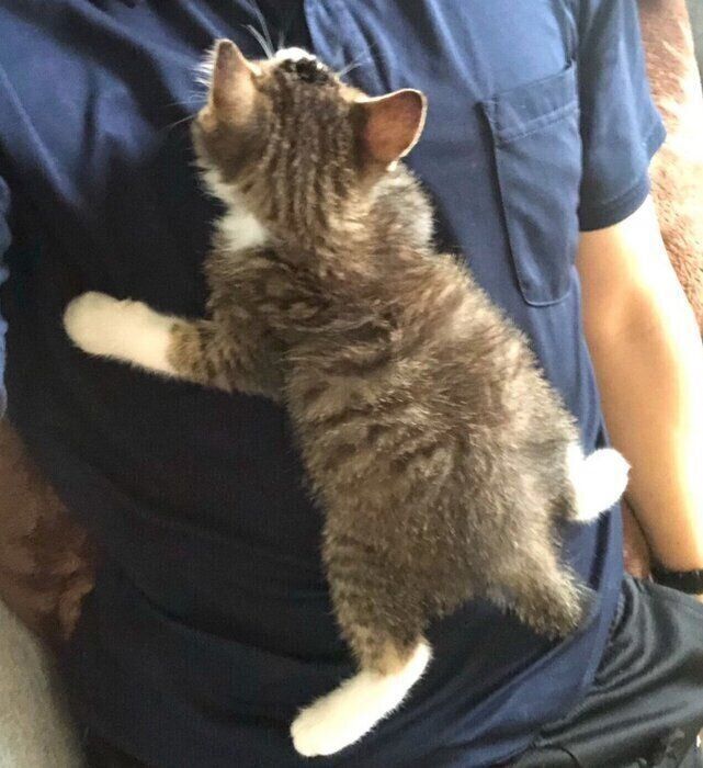 生後2カ月のころに撮影したちいまくん