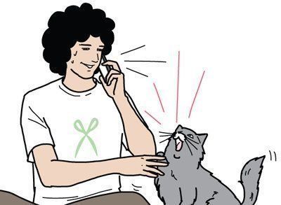 男の猫道 サムネイル