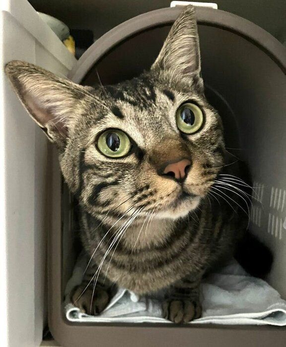 ひょっこりと顔を出すボンくん