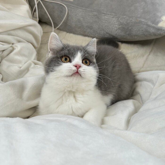 別の日の様子 「かわいい」といった声が集まった1枚