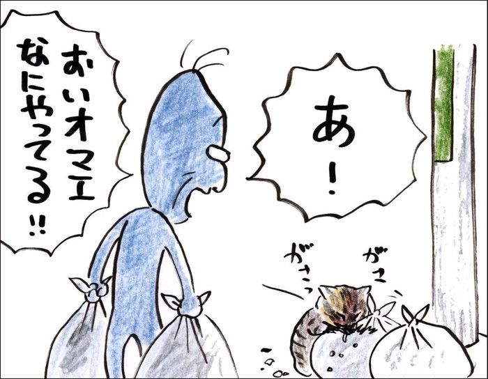 なれそめ②