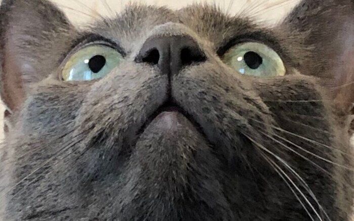 読者提供