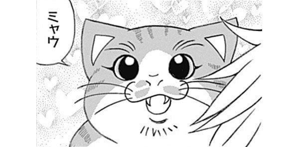 『れんコテ』