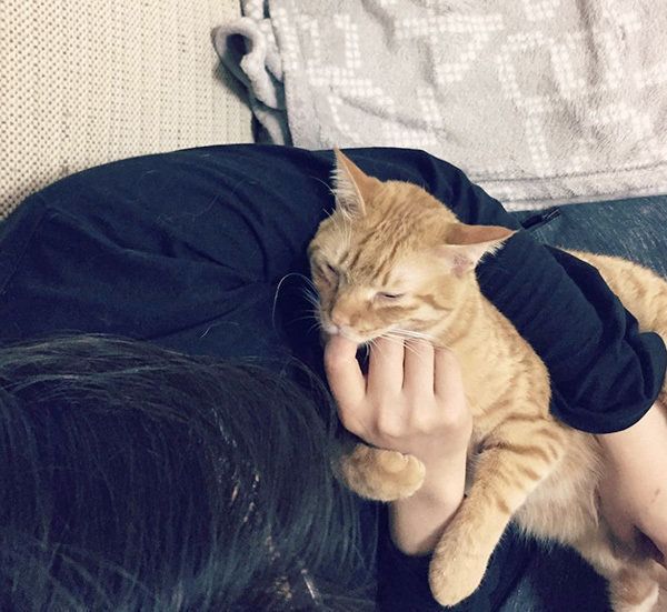ムギちゃん